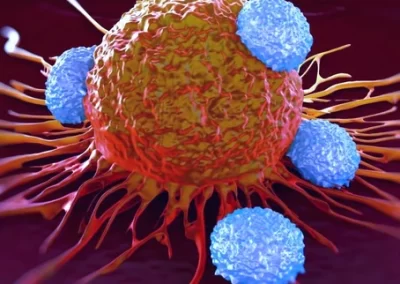 Licença para matar: O caso das células CD4 citotóxicas